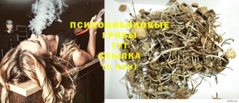 Псилоцибиновые грибы GOLDEN TEACHER  где продают наркотики  мега tor  Заинск 