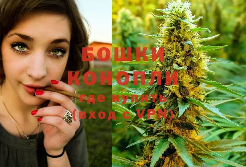 как найти наркотики  Заинск  МАРИХУАНА SATIVA & INDICA 